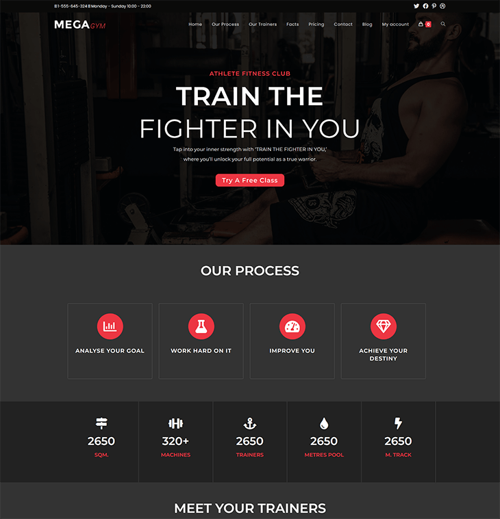 gym website-1