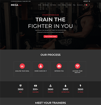 gym website portfolio - 2